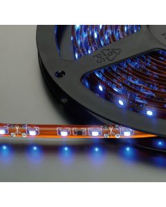 Flexible à LEDs&#44; DC 12 V&#44; bleu