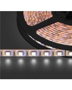 Flexible à LEDs&#44; DC 24 V&#44; RGBW