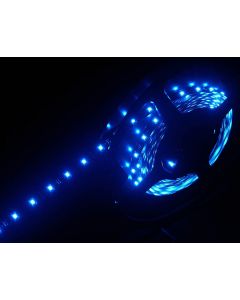 Flexible à LEDs&#44; 5 m&#44; 12 V&#44; IP&#44; bleu
