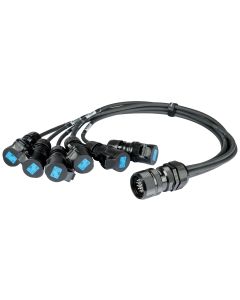 Câble multipaire d'alimentation, 6 x 3 x 2,5 mm², connecteur 19P mâle, 6 prises 16 A IP44