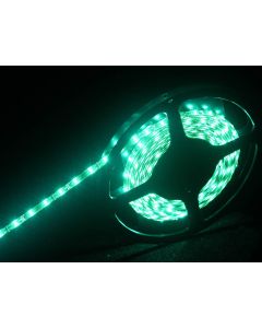 Flexible à LEDs, 5 m, 12 V, IP, vert