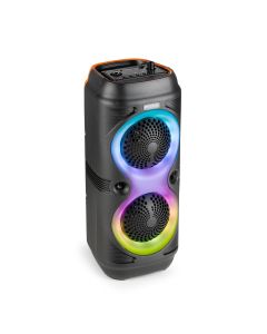 Karaoké enceinte 2 x 4", 100 W, batterie, BT, TWS, avec spectacle de lumières - Track210