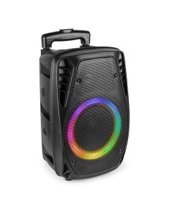 Sono portable sur batterie, 8" SD/USB/MP3/BT, 1 micro filaire - FT8LED-MK2